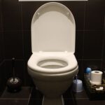 toilet-663707__480